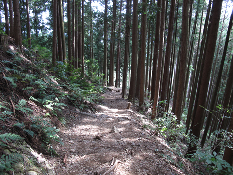 20150929hike (264)